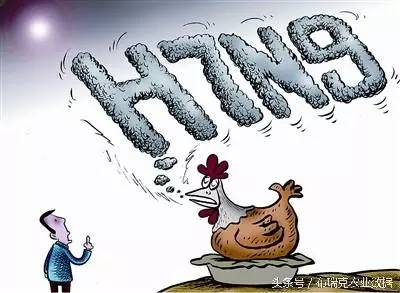 2、中國禽產(chǎn)品的供給缺口