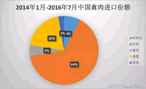 5、全球展望